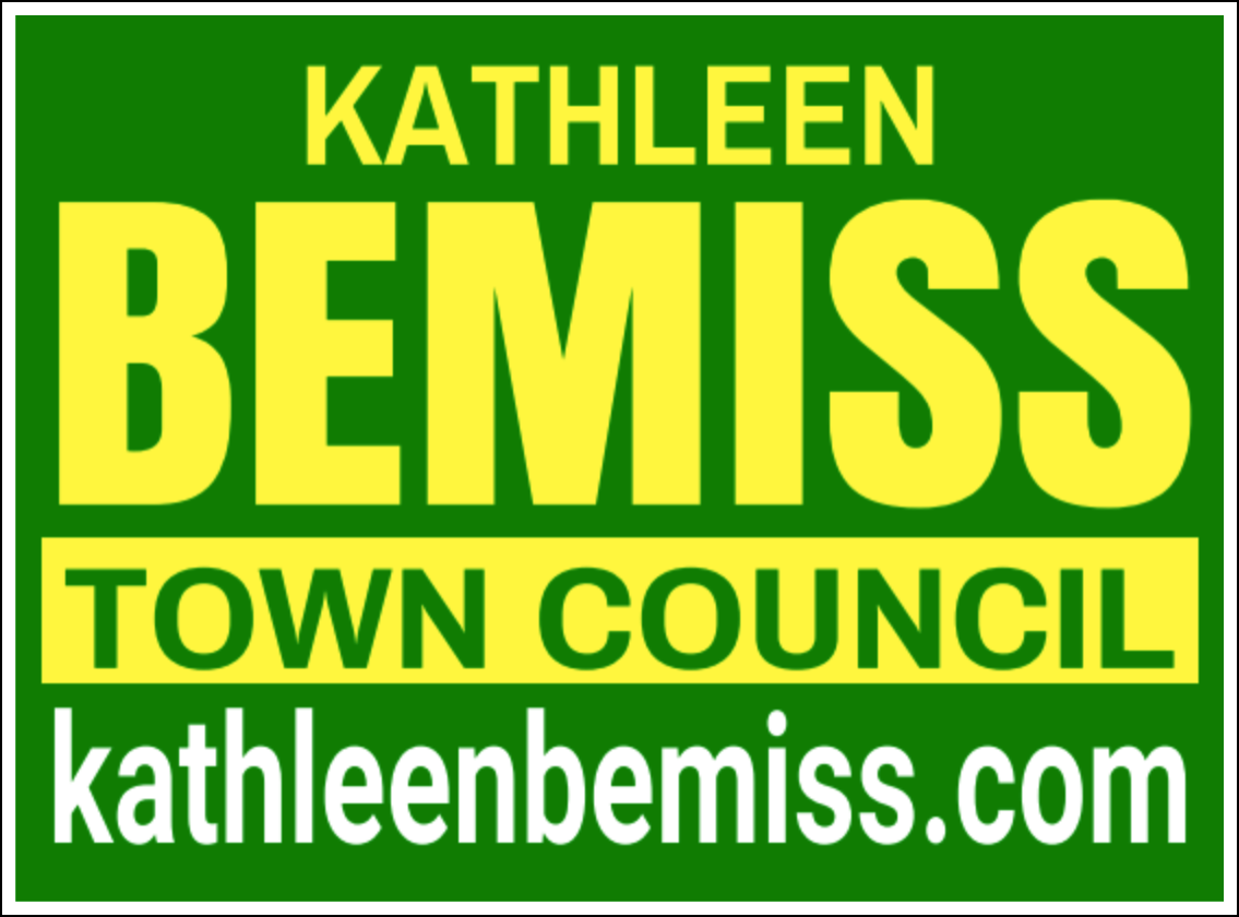 Kathleen Bemiss for Bedford Town Council